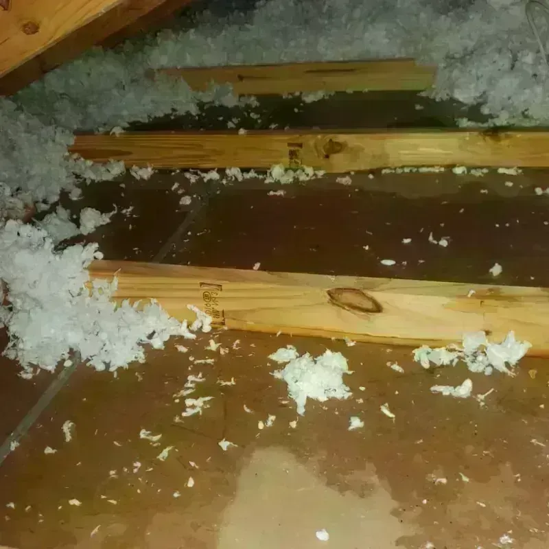 Attic Water Damage in Seaford, DE