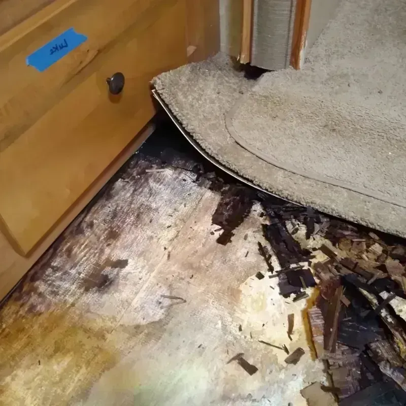 Best Wood Floor Water Damage Service in Seaford, DE